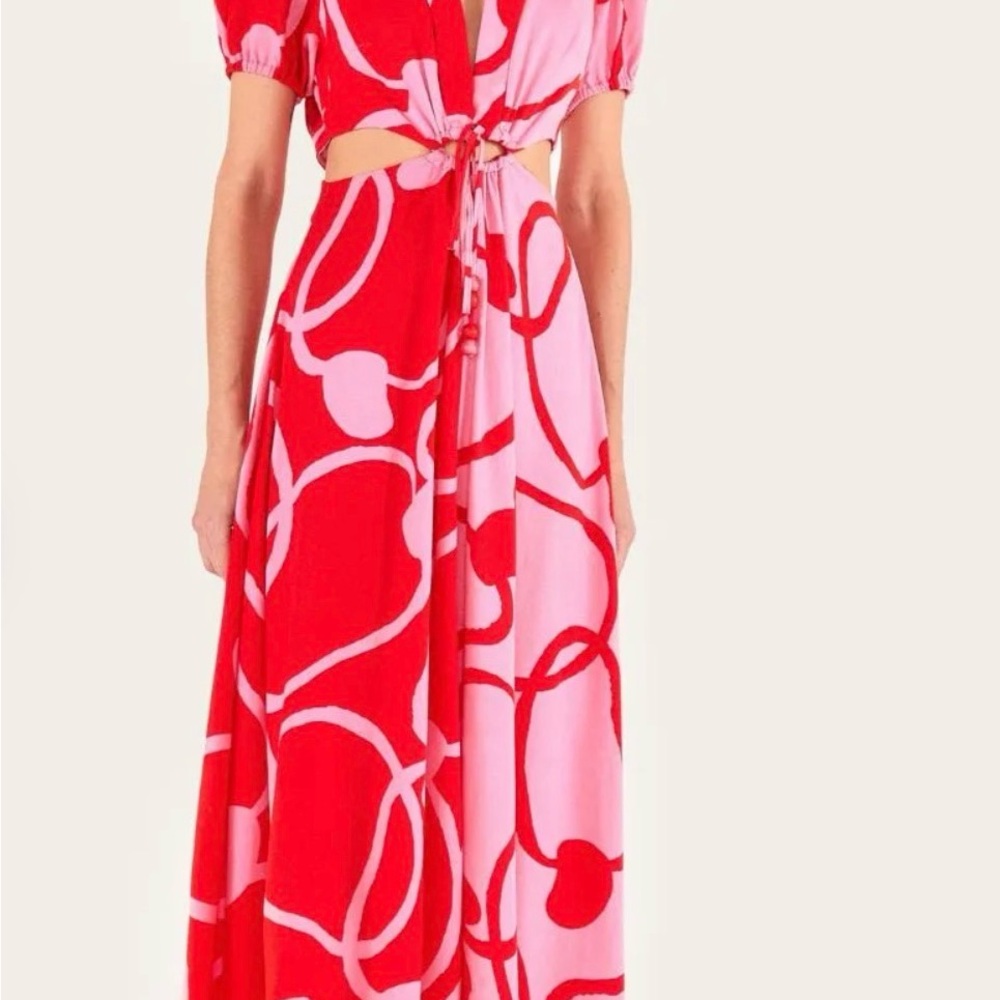 FARM Rio Red and Pink cashews Patterned Dress - Picture 8 of 10
